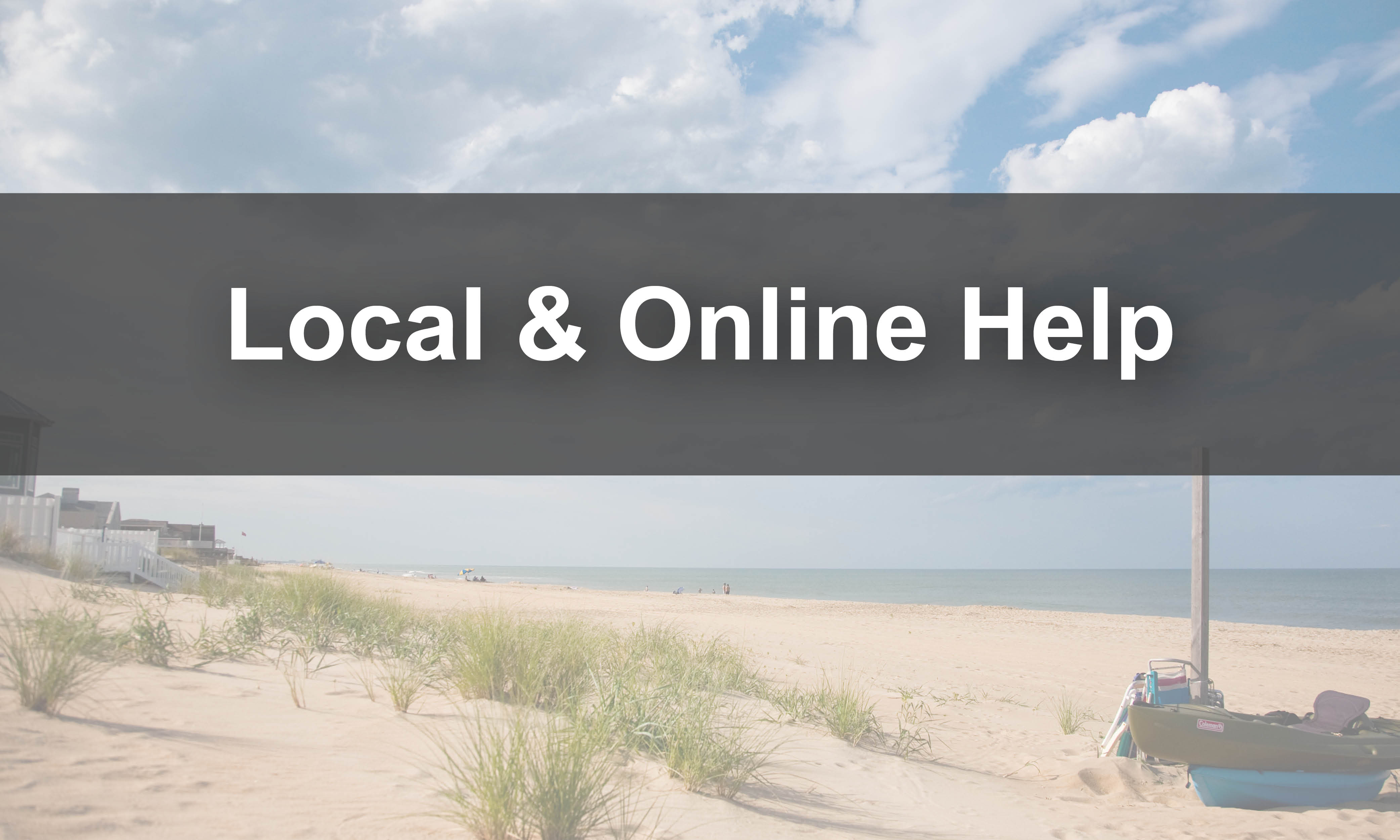 Local and Online Help Link to local and online resources